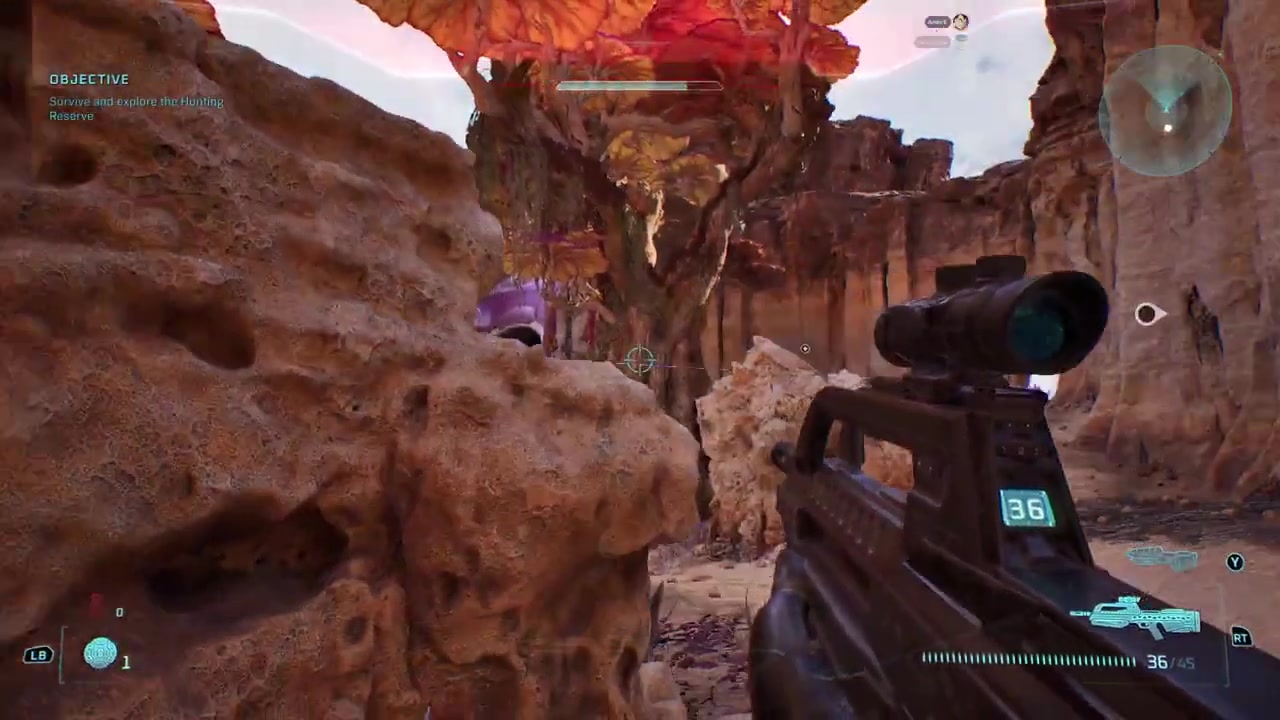 No specific landmark mentioned in transcript zone