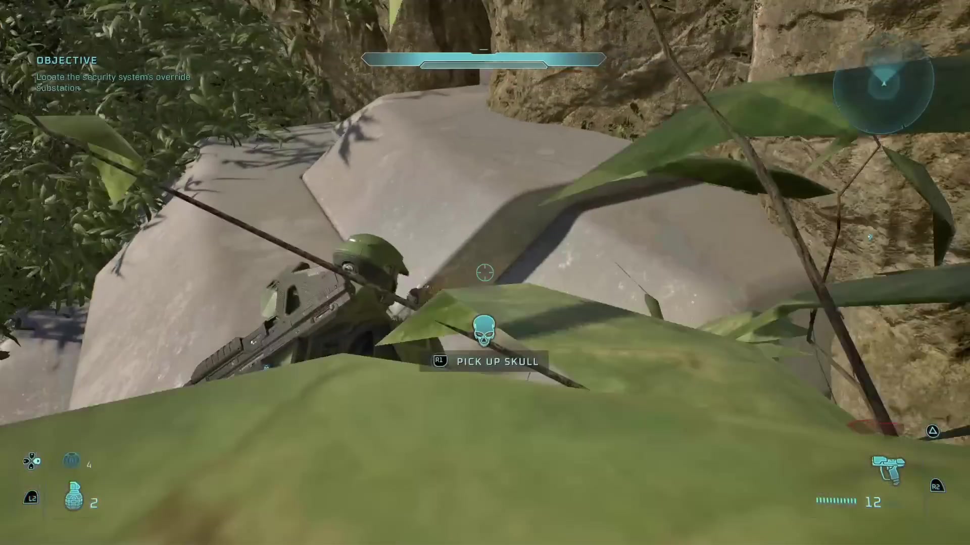 A visible in-world skull pickup prompt beside a crashed aircraft in a green campaign area.